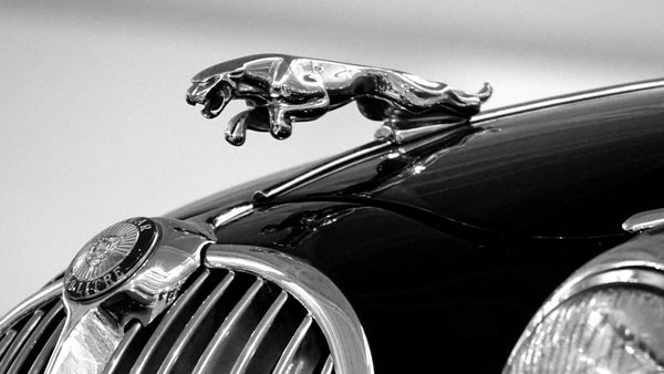 Jaguar Parts